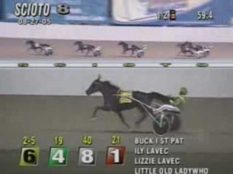 Bucki, Scioto Downs, 2005/8/27
