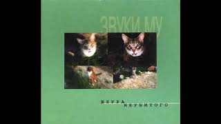 Zvuki Mu - PNM (ПНМ)