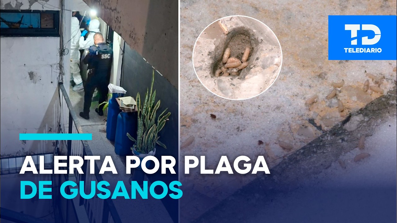 Hallazgo de un cuerpo en departamento preocupa a vecinos por aparición de plagas en Edificio