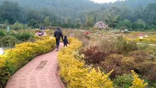 preview picture of video 'Nature Park, Daringbadi'