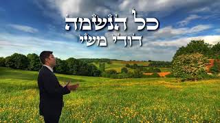 דודי משי - "כל הנשמה"