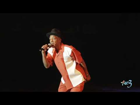 VINCY MAS CALYPSO SEMIS 2019 Abijah - Borrow A Brain