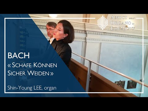 J.S. Bach: Schafe können sicher weiden BWV 208 - Shin-Young Lee | AOL live 2018