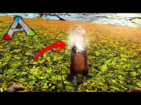 ARK VANILLA #122 - OTTER! O CAÇADOR DE SILICA TOP!