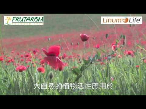 20170320 FRUTAROM品牌形像