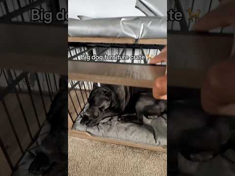 Great for Big dogs! #raisingbane #canecorso #dogcrate #dogfurniture #kennel