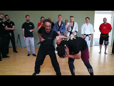 Martial art festival in Austria, Graz 2022, GM Robert Castro