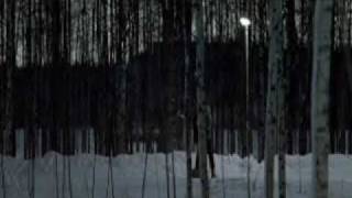 Chlorine Colored Eyes by the Crash that took Me