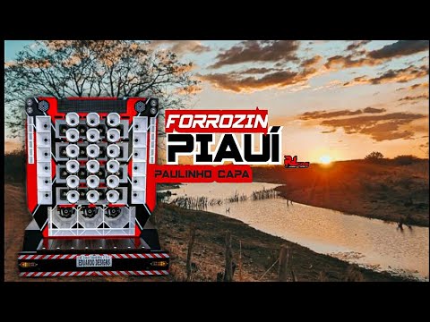 FORROZIN ARROCHADO DO PIAUI - PAULINHO CAPA / REPERTÓRIO JUNHO 2024 / LAPADA DE FORRÓ/ DO INTERIOR.