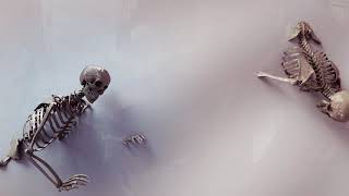 Rawtek &amp; Masayoshi Iimori - Mango Beat (Official Full Stream)