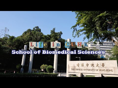Life in CUHK BSc in Biomedical Sciences