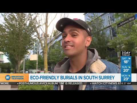 Eco-friendly burials in South Surrey