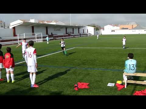 Llerena-Fuente de Cantos. Alevines A. Febrero 2022.