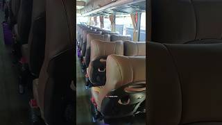 Download lagu Fasilitas lengkap pada bus subur jaya jetbus 5 shd hino rm 280 #busmania #suburjaya #hinorm280 mp3 Download lagu Fasilitas lengkap pada bus subur jaya jetbus 5 shd hino rm 280 #busmania #suburjaya #hinorm280 mp3