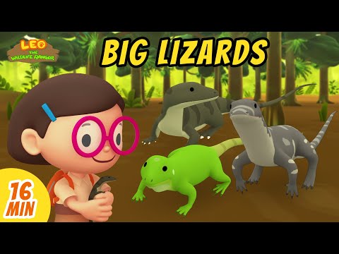 Big Lizards Minisode Compilation - Leo the Wildlife Ranger | Animation | For Kids | Family
