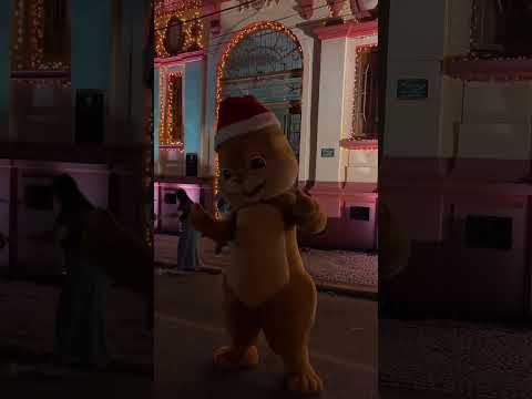 Abertura do Natal em Rio Negro Paraná