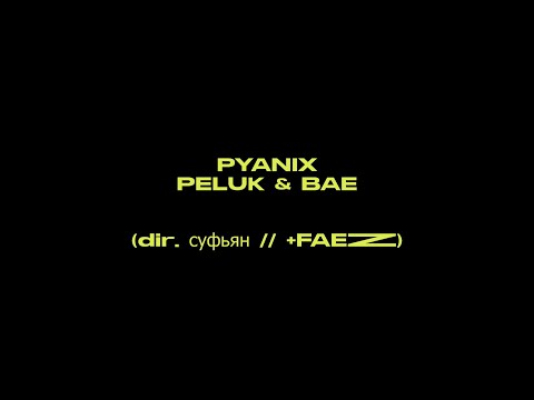 pyaniX - Peluk & Bae (Official Music Video)
