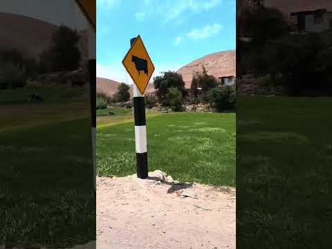 Travel  Viaje ilo-Moquegua