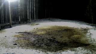 Video toilette (madebythefire - BUDET 2013)