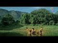 FLOWERS ONAM SONG 2021 Latest Onam Song ️ ️