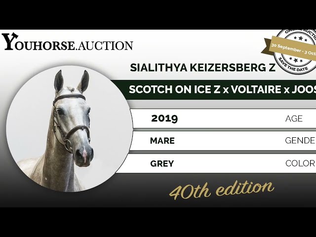 Sialithya Keizersberg Z under saddle