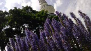 Such a beautiful feelin&#39;