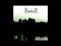 Svafnir - Nothing Left 