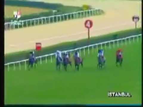 GOLDEN SUN   07/08/2005  İSTANBUL