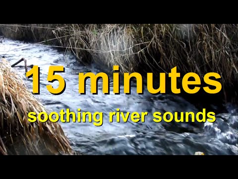 15 Minutes Nature Sounds +++ A Flowing Stream in Spring +++ Better Sleep + Sounds for Studying