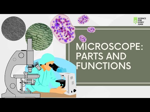 Parts And Function Of Microscope