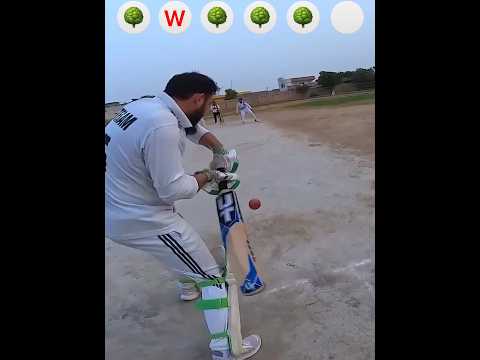 Game Changing Over in a Decider Match..