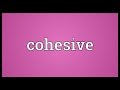 Cohesive Meaning