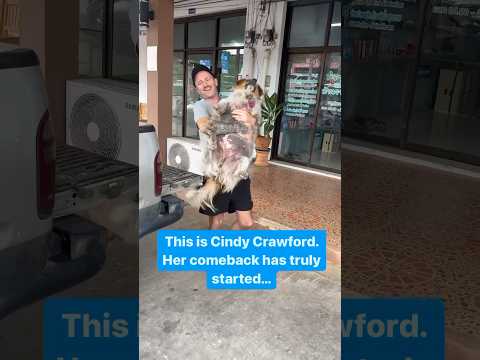 Cindy Crawford Comeback. It was time for pampering and proper care