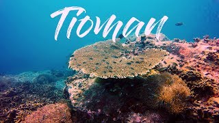 Scuba Diving in Tioman Island