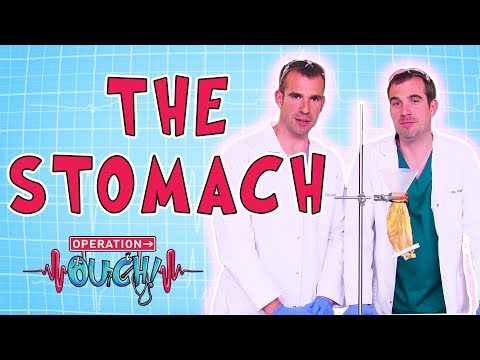 Operation Ouch - The Stomach | Biology for Kids