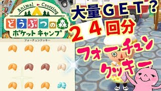 フォーチュンクッキー24回分の中身！動物たちからガッツリもらおう！山芋プレイ！どうぶつの森ポケットキャンプ！ポケ森！13