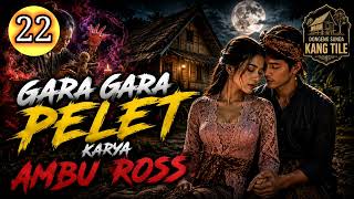 Download lagu GARA GARA PELET SERI ( 22 ) KARYA AMBU ROSS DONGSUN mp3