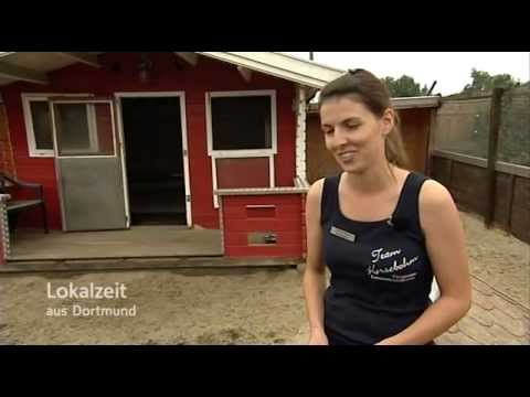 Video Vorschau