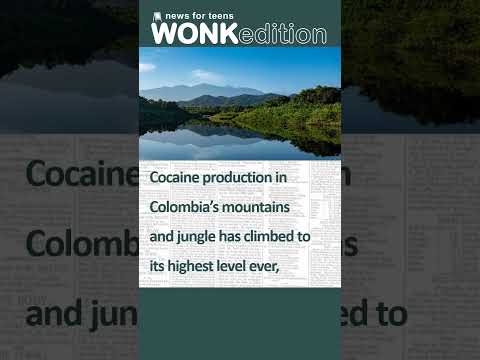 Cocaine production in Colombia rises to record #news