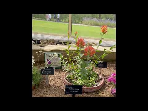 Beautiful flowers 💐 castle Howard York England 🏴󠁧󠁢󠁥󠁮󠁧󠁿