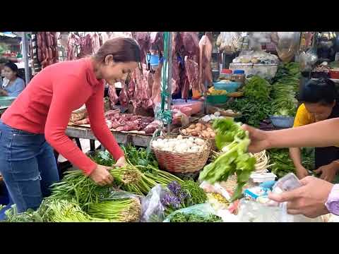 Daily Buying Vegetables and Meat at Fish Market in Phnom Penh in June 2022 [Cambodian Fish Markets]
