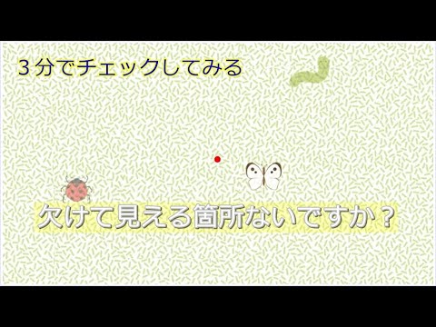 猫の緑内障 - 原因、症状、治療法