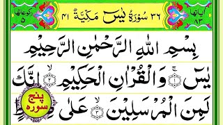Download lagu Surah Yasin | Surah Ar Rahman | Surah Al Waqiah | Surah Al Mulk | Surah Al Muzammil Pani Patti Voice mp3