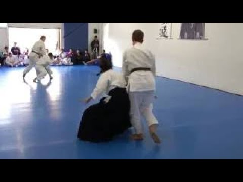Linda Eskin Aikido Sho Dan Exam Aikido of San Diego