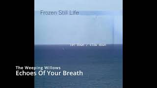 Frozen Still Life - Echoes Of Your Breath