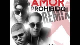 Baby Rasta &amp; Gringo Ft Farruko   Amor Prohibido Remix