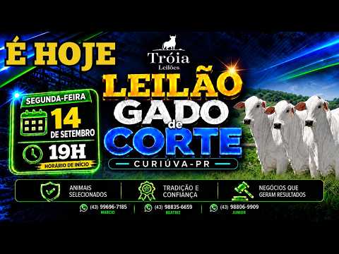 28º Leilão de Gado Geral   em Curiúva-PR  | TERÇA-FEIRA - 08/09/26 - 19h