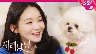 [세레냥댕] 강민경 X 휴지! 귀염뽀짝 꿀세레나데❤