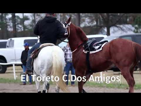 El Toreto C.Dos Amigos (Ganador) Vs El Centavo C.Triple A