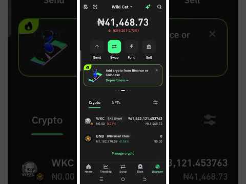 Buy Wiki Cat On Pancake Swap In Minutes